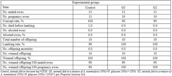 Productive performance of Barki ewes fed halophytes added with Propionibacteria freudenreichii under saline conditions - Image 9