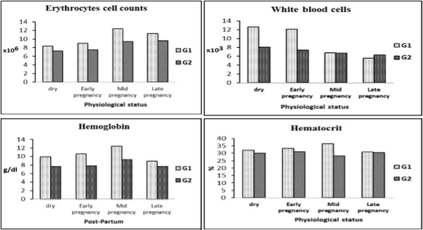 Nutritional and Physiological Performance of Shami Female Goats Fed Salt Tolerant Plants During Pregnancy Under Desert Conditions - Image 11