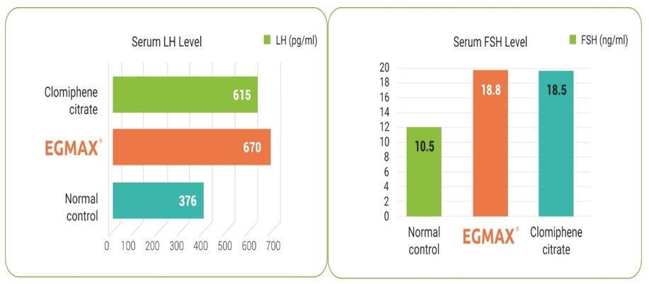 Light Management in Breeder: know more… - Image 5