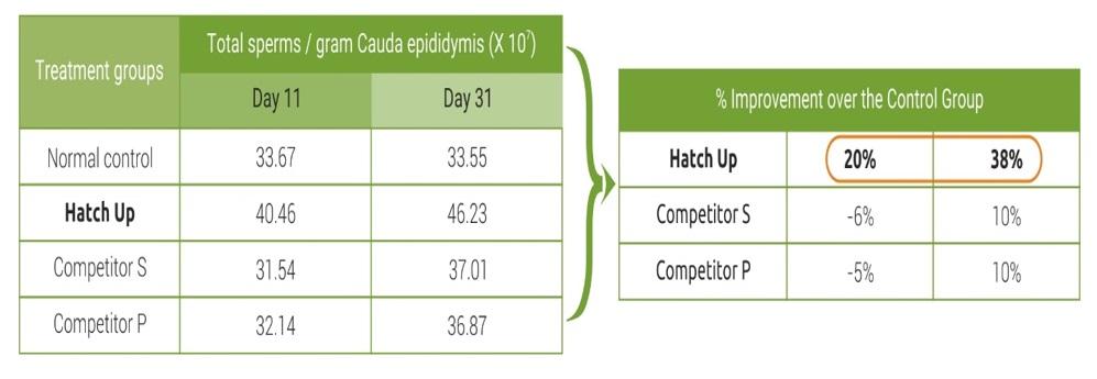 Light Management in Breeder: know more… - Image 6