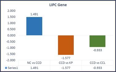 Fat metabolism: can improve poultry performance - Image 6