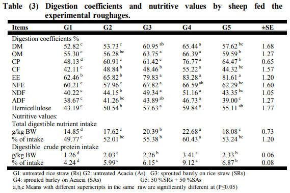 Sprouted Barley Grains on Rice Straw and Acacia Saligna and its Effect on Performance of Growing Barki Lambs in Sinai - Image 5
