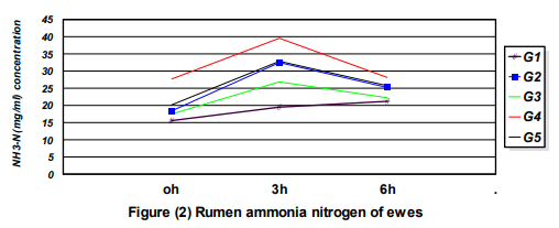 Sprouted Barley Grains on Rice Straw and Acacia Saligna and its Effect on Performance of Growing Barki Lambs in Sinai - Image 2