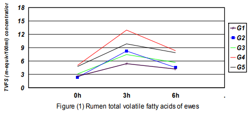 Sprouted Barley Grains on Rice Straw and Acacia Saligna and its Effect on Performance of Growing Barki Lambs in Sinai - Image 1