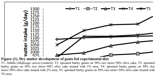 Effect of Feeding Sprouted Barley Grains on Rice Straw and Olive Cake on Performance of Goats in Sinai - Image 3