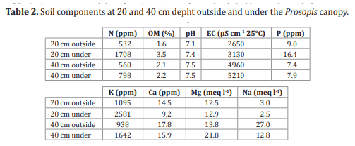 Effect of Prosopis spp. as a nurse plant on nutrient content and productivity of Opuntia ellisiana Griffiths - Image 2