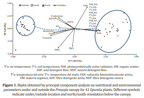 Effect of Prosopis spp. as a nurse plant on nutrient content and productivity of Opuntia ellisiana Griffiths - Image 3