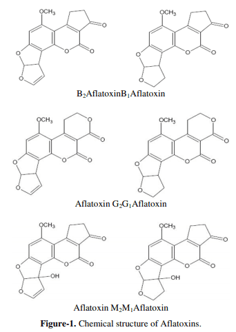 Effect of Aflatoxins on Poultry Production and Control Methods of Destructive Influence - Image 3