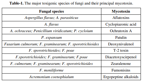 Effect of Aflatoxins on Poultry Production and Control Methods of Destructive Influence - Image 1