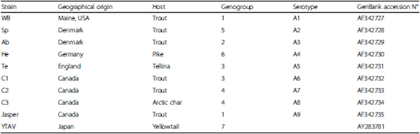 Molecular characterization of infectious pancreatic necrosis virus strains isolated from the three types of salmonids farmed in Chile - Image 3