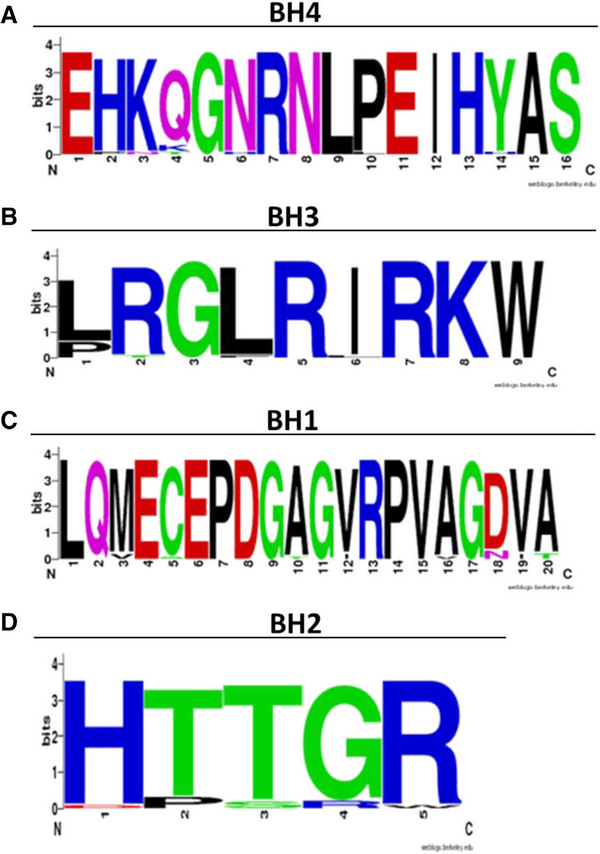 Molecular characterization of infectious pancreatic necrosis virus strains isolated from the three types of salmonids farmed in Chile - Image 13