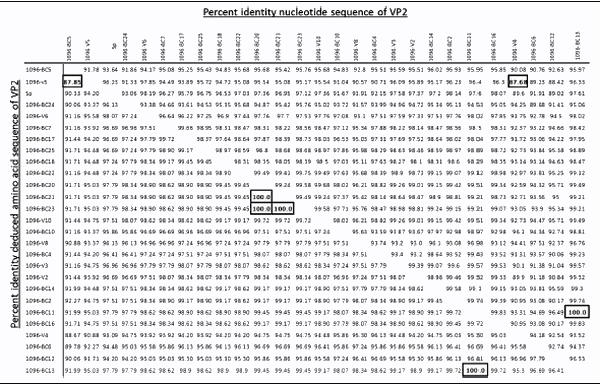 Molecular characterization of infectious pancreatic necrosis virus strains isolated from the three types of salmonids farmed in Chile - Image 7