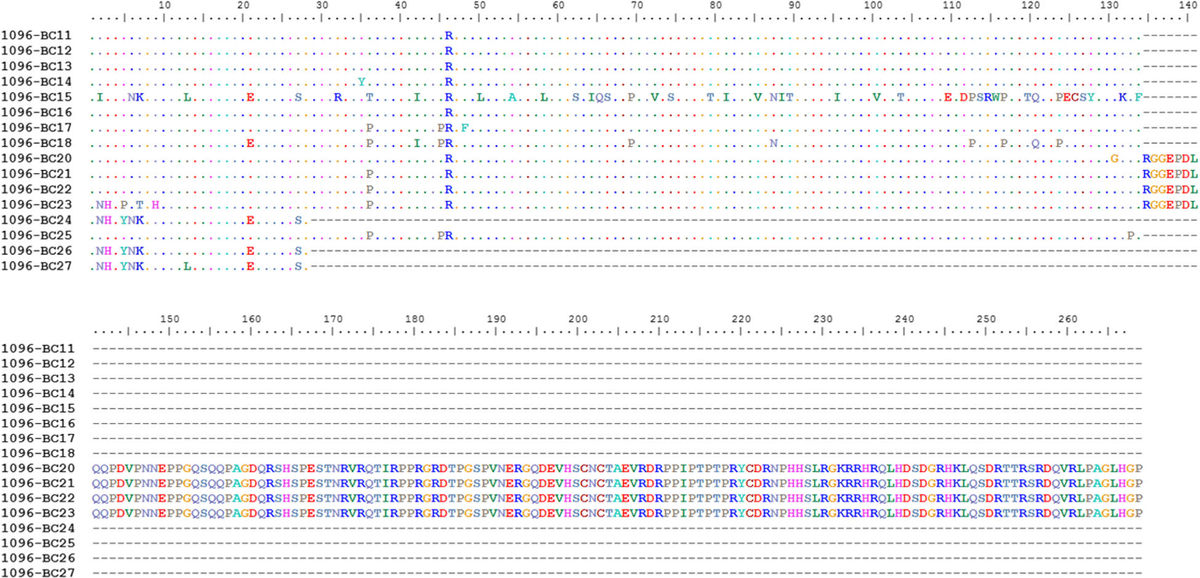 Molecular characterization of infectious pancreatic necrosis virus strains isolated from the three types of salmonids farmed in Chile - Image 11