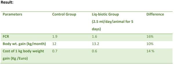Polyherbal Antidiarrheal and gut function modulator for pigs - Image 2