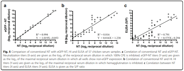 Development of a novel Newcastle disease virus (NDV) neutralization test based on recombinant NDV expressing enhanced green fluorescent protein - Image 7