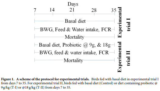 Studies on the growth performance of different broiler strains at high altitude and evaluation of probiotic effect on their survivability - Image 1