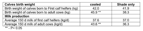 Dry cows need cooling too in summer - Image 1