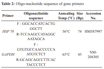Effect of Dietary Addition of Amla (Emblica officinalis) on Performance and HSP70 Gene Expression in Coloured Broiler Chicken during Extreme Summer - Image 2
