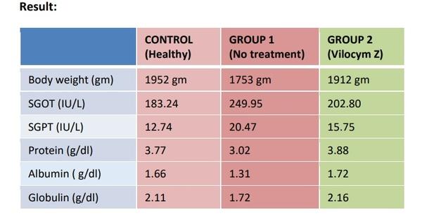 Natural and Complete solution for multiple mycotoxin management and growth promotion in Poultry - Image 4