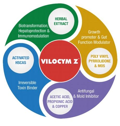 Natural and Complete solution for multiple mycotoxin management and growth promotion in Poultry - Image 1
