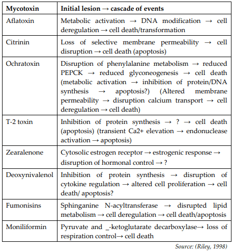 Mycotoxicosis and its Management in Poultry - Image 2