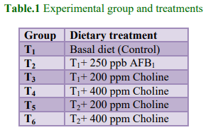 Efficacy of Choline in Ameliorating Aflatoxicosis in Broiler Chicken - Image 1