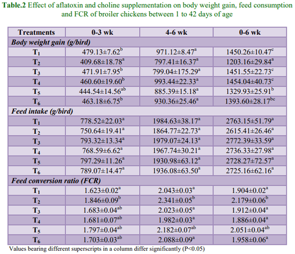 Efficacy of Choline in Ameliorating Aflatoxicosis in Broiler Chicken - Image 2