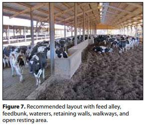 Compost Bedded Pack Barn Design. Features and Management Considerations - Image 8