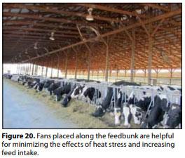 Compost Bedded Pack Barn Design. Features and Management Considerations - Image 21