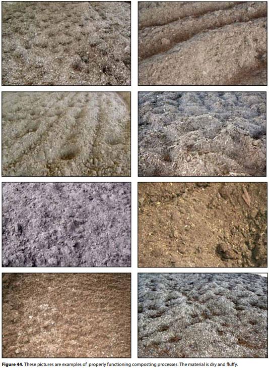 Compost Bedded Pack Barn Design. Features and Management Considerations - Image 46