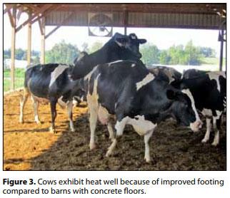 Compost Bedded Pack Barn Design. Features and Management Considerations - Image 4