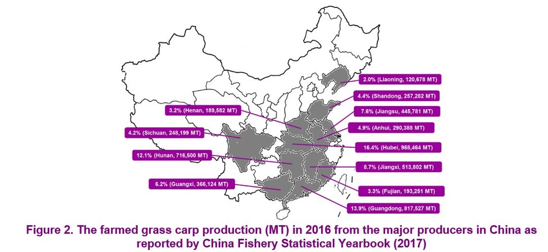 A review of the available data on the amino acid requirements and raw material digestibility of grass carp - Image 2