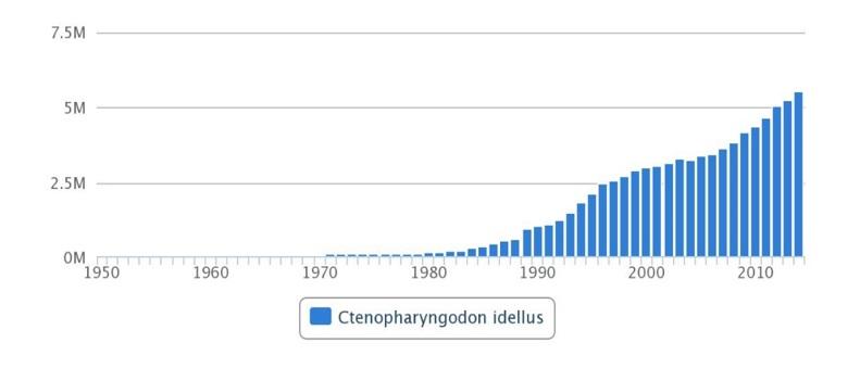 A review of the available data on the amino acid requirements and raw material digestibility of grass carp - Image 1