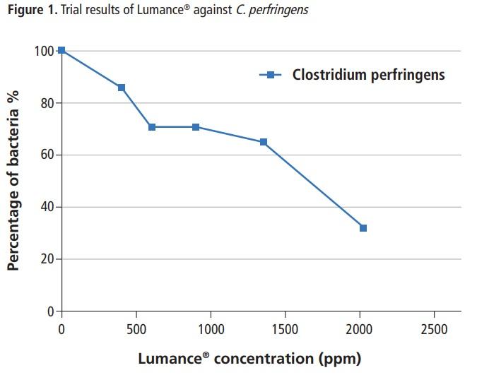 Prevention of necrotic enteritis by a synergistic non-antibiotic feed additive in broiler chickens - Image 2