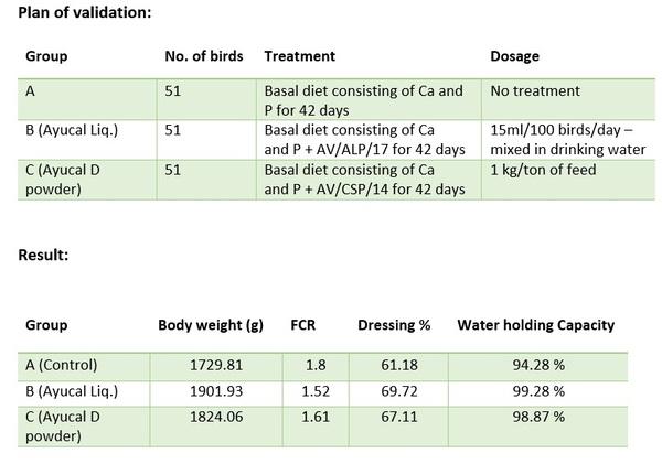 Optimizing calcium and phosphorus absorption and utilization in poultry: A new approach - Image 2