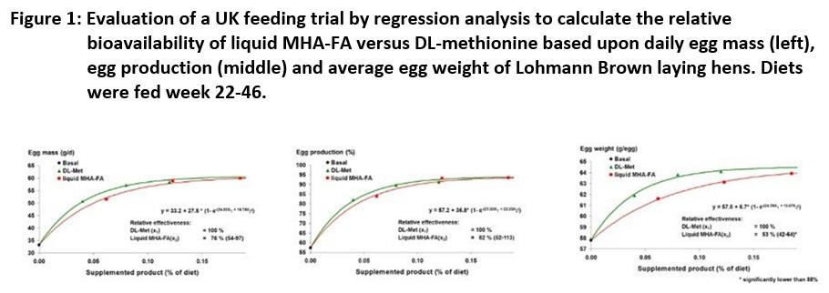 About 128,000 laying hens don’t lie: the nutritional value of DL-methionine hydroxy analogue is 65 % that of MetAMINO® - Image 1