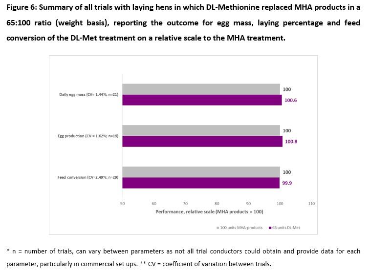 About 128,000 laying hens don’t lie: the nutritional value of DL-methionine hydroxy analogue is 65 % that of MetAMINO® - Image 10