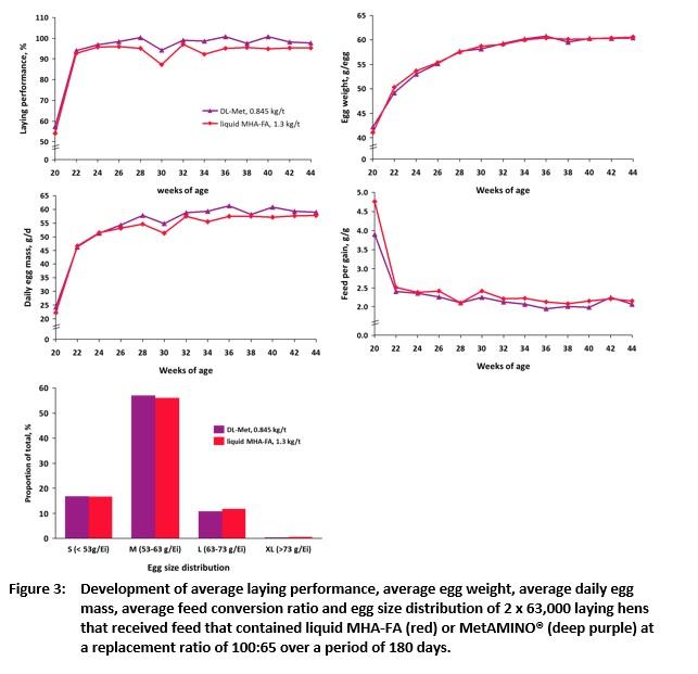 About 128,000 laying hens don’t lie: the nutritional value of DL-methionine hydroxy analogue is 65 % that of MetAMINO® - Image 4