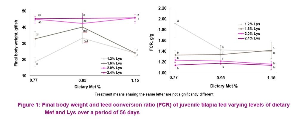 Effects of dietary methionine and lysine levels on the performance of juvenile Nile tilapia - Image 4