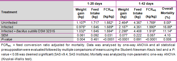Bacillus subtilis DSM 32315 (GutCare®) restores microbiota composition an promote performance in broilers under necrotic enteritis infection - Image 1