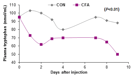 Roles of functional amino acids in the immune system of pigs - Image 5
