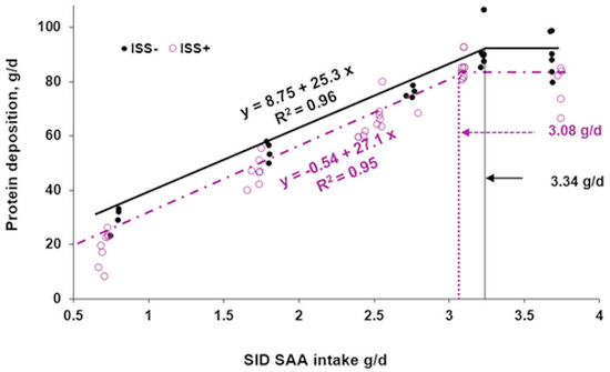 Roles of functional amino acids in the immune system of pigs - Image 2