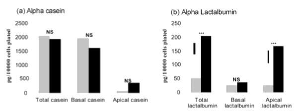 Mammary Specific Function of a Bovine Mammary Epithelial Cell Clone Cultured on Collagen I Coated Inserts - Image 1