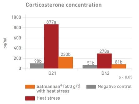 The effect of heat stress on broiler performance and strategies to reduce this effect - Image 4