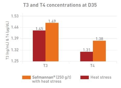 The effect of heat stress on broiler performance and strategies to reduce this effect - Image 6