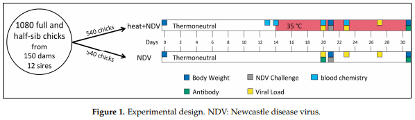 Association of Candidate Genes with Response to Heat and Newcastle Disease Virus - Image 1