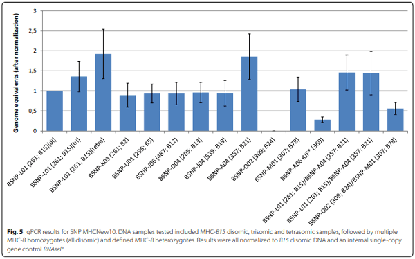 A high-density SNP panel reveals extensive diversity, frequent recombination and multiple recombination hotspots within the chicken major histocompatibility complex B region between BG2 and CD1A1 - Image 5