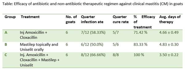 Treating clinical mastitis: An alternative approach - Image 2