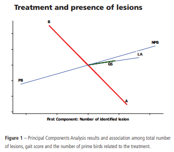 Use of Vitamin D to Reduce Lameness in Broilers Reared in Harsh Environments - Image 3
