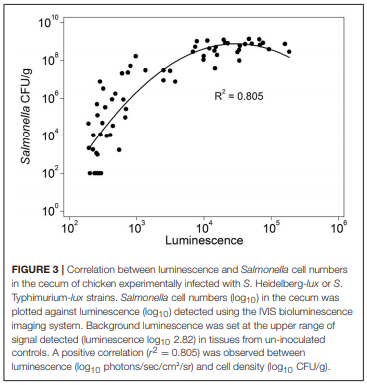Salmonella Harborage Sites in Infected Poultry That May Contribute to Contamination of Ground Meat - Image 4